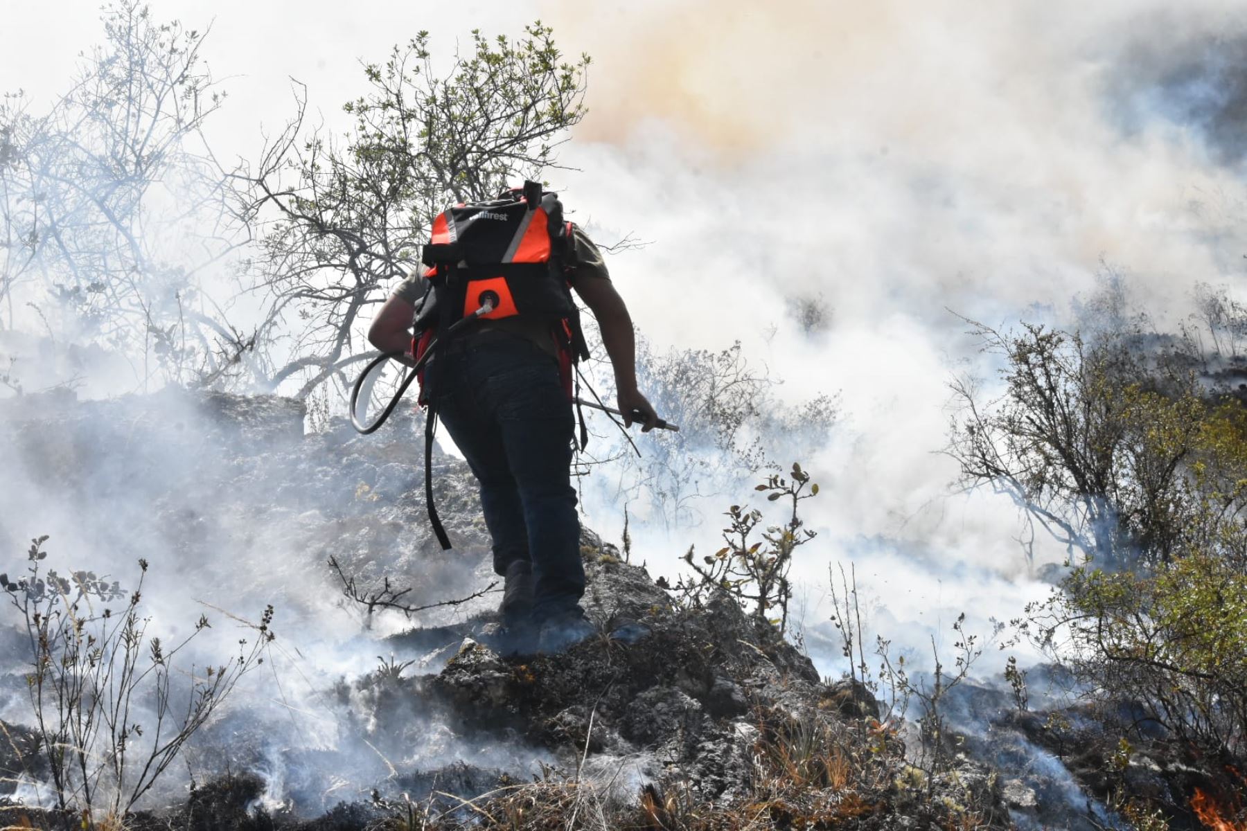 El 5 de noviembre empezó un incendio forestal en la localidad de San Juan de Patará del distrito de Huamanquiquia, región Ayacucho. Foto: ANDINA/Archivo