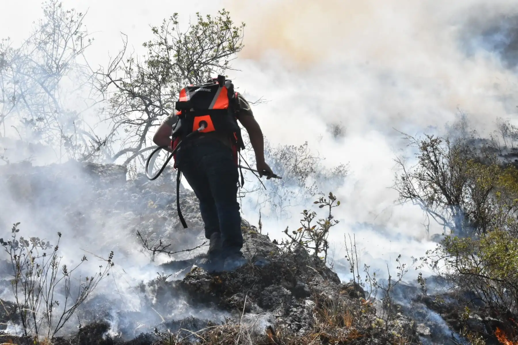 El 5 de noviembre empezó un incendio forestal en la localidad de San Juan de Patará del distrito de Huamanquiquia, región Ayacucho. Foto: ANDINA/Archivo