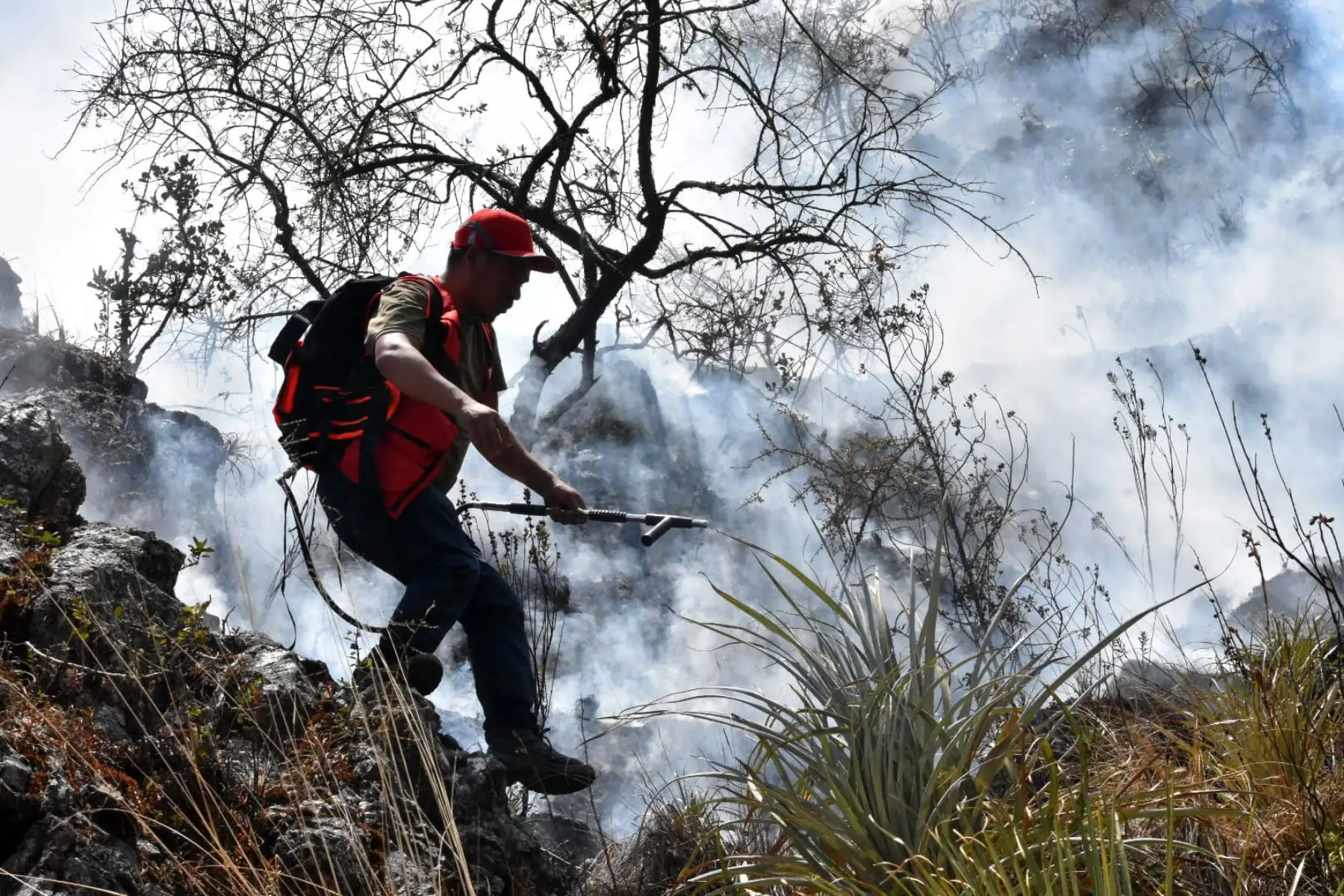 Brigadistas del Servicio Nacional de Áreas Protegidas por el Estado Peruano (Sernanp) de Machu Picchu, bomberos, soldados del ejército y comuneros retoman las acciones de control y liquidación del incendio forestal en el distrito de Limatambo, provincia cusqueña de Anta. Foto: ANDINA/Percy Hurtado