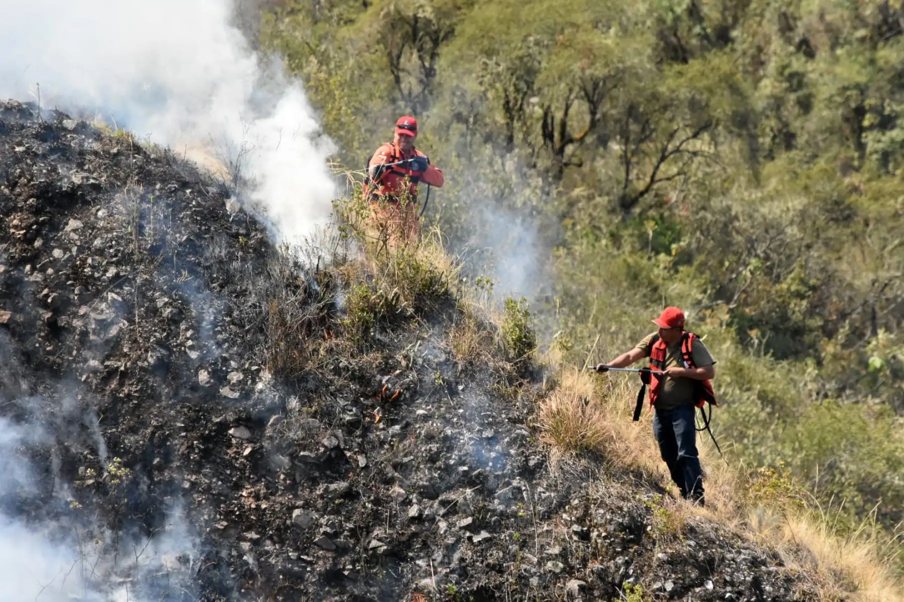 Brigadistas del Servicio Nacional de Áreas Protegidas por el Estado Peruano (Sernanp) de Machu Picchu, bomberos, soldados del ejército y comuneros retoman las acciones de control y liquidación del incendio forestal en el distrito de Limatambo, provincia cusqueña de Anta. Foto: ANDINA/Percy Hurtado