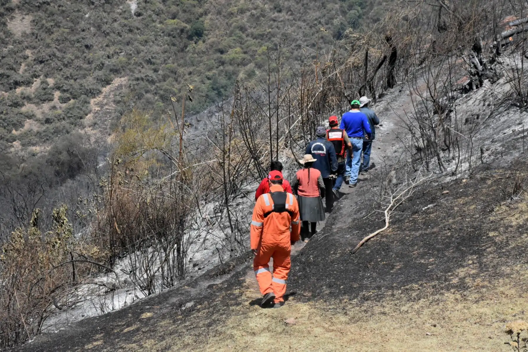 El siniestro que se registra desde la semana pasada, devasta más de 4 mil hectáreas en el sector Qoyllor-Hatuccasa. Durante el día de ayer los brigadistas conformados en 6 cuadrillas intentaron sofocar las llamas, pero las cuestiones climáticas y geográficas impidieron. Foto: ANDINA/Percy Hurtado