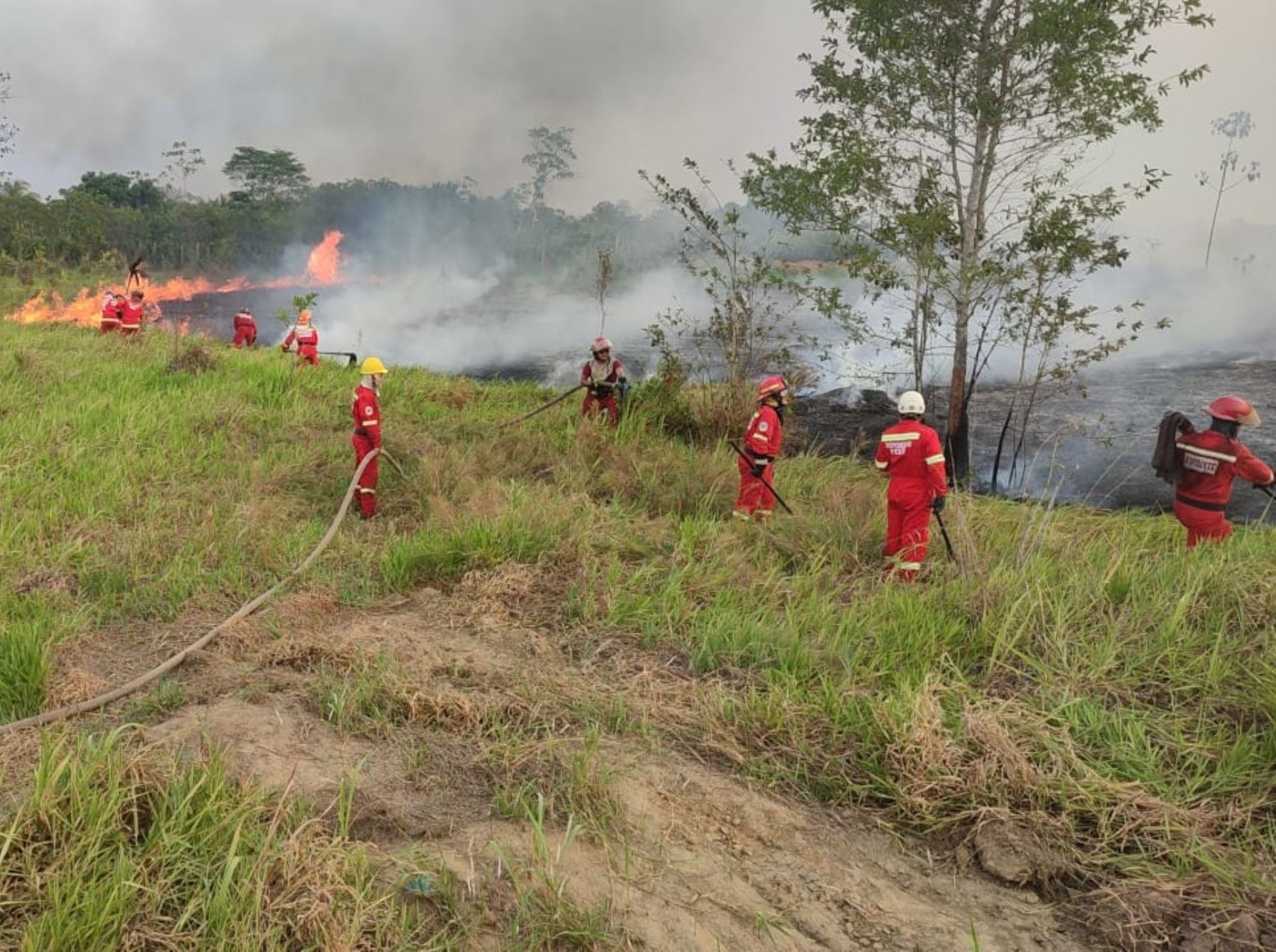 Bomberos advierten de un incremento de casos de incendios forestales en la ciudad de Pucallpa, capital de la región Ucayali.