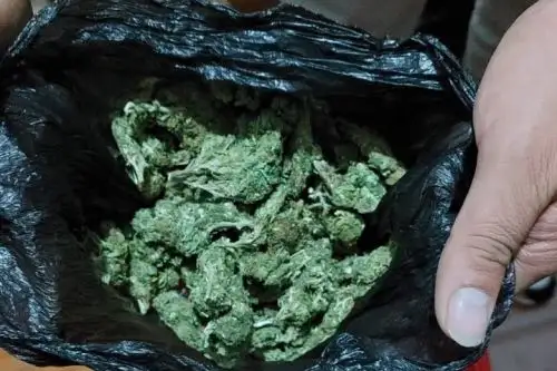 Durante el allanamiento se incautó dinero en efectivo, así como marihuana.
