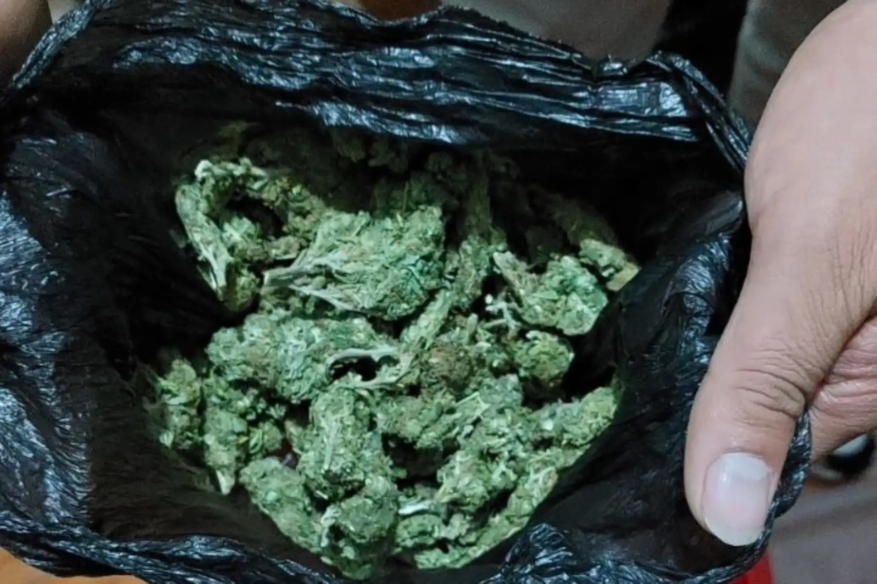 Durante el allanamiento se incautó dinero en efectivo, así como marihuana.