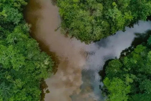 ANDINA/Difusión