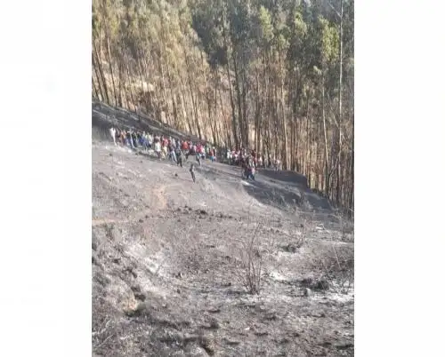 Cuatro muertos y tres heridos deja incendio forestal que se registró en el distrito de Anco, región Huancavelica. ANDINA/Difusión