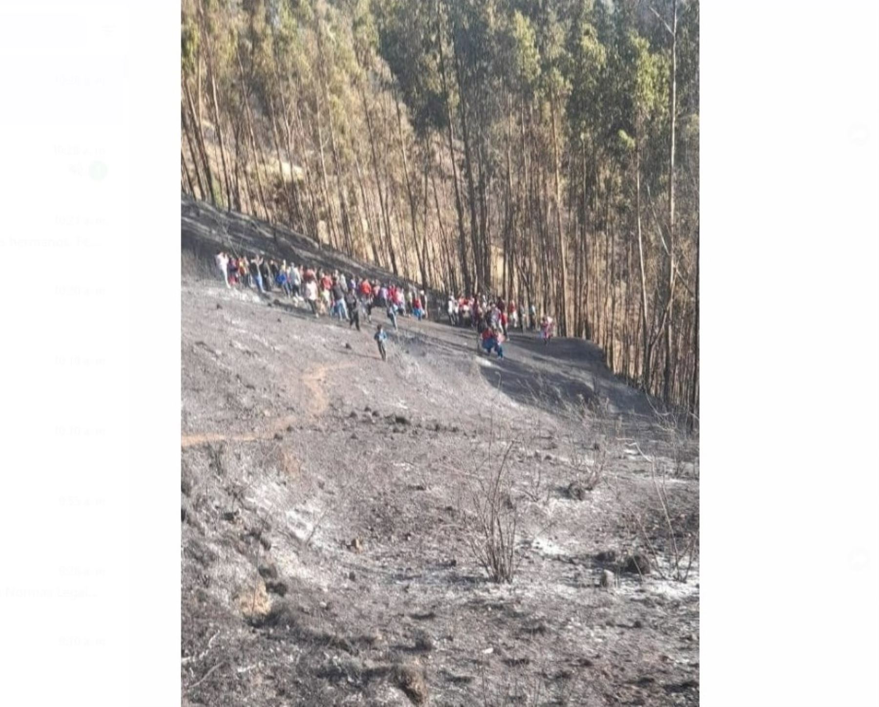 Cuatro muertos y tres heridos deja incendio forestal que se registró en el distrito de Anco, región Huancavelica. ANDINA/Difusión
