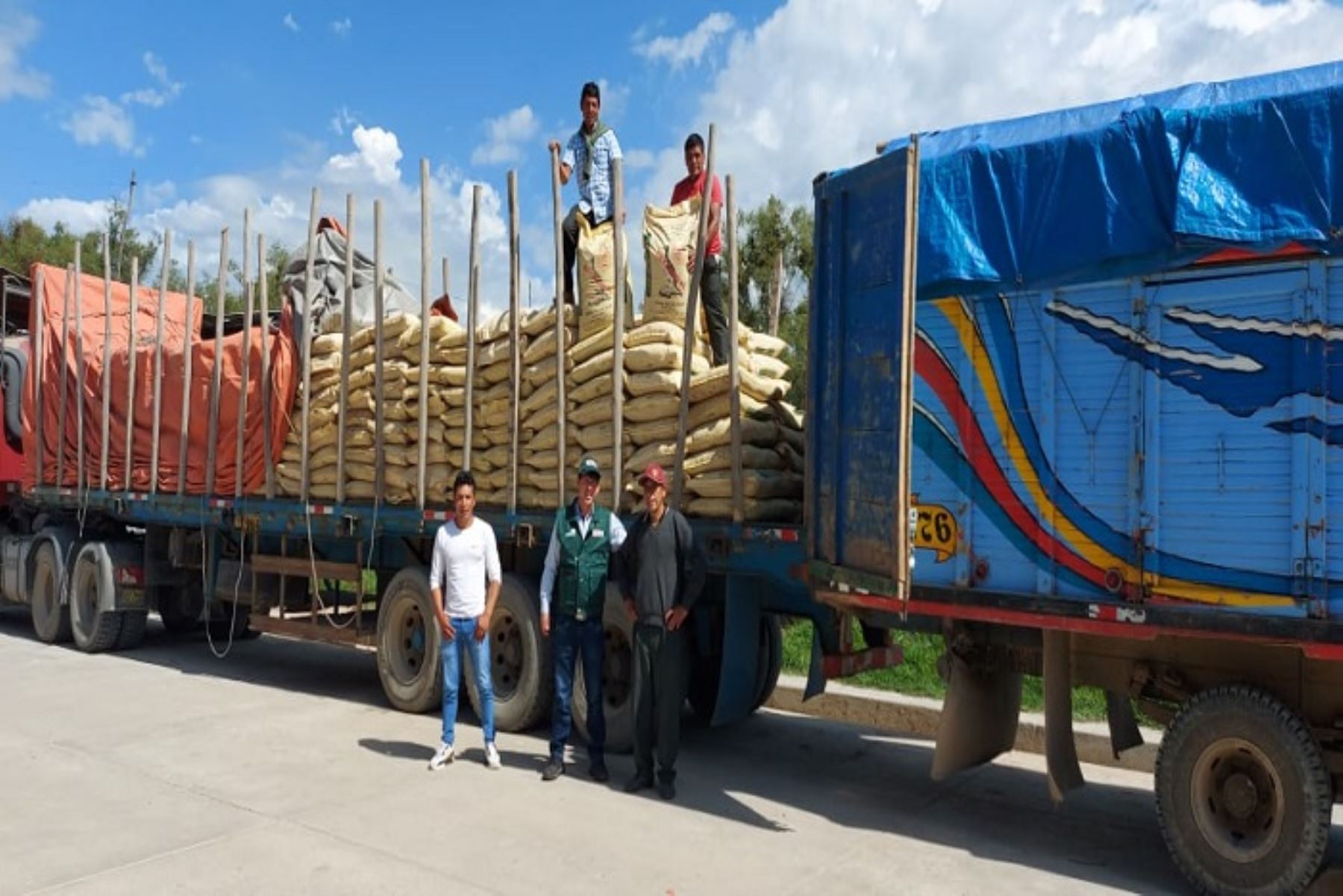 Cajamarca: Agro Rural entregó 1,200 sacos de guano de islas para potenciar a agricultores