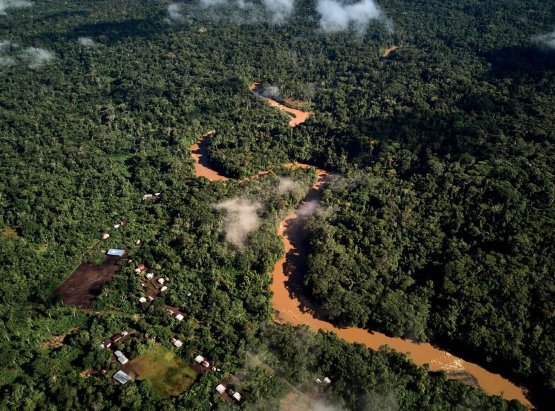 Deforestación de la Amazonía brasileña fue récord en último año de Jair Bolsonaro. ANDINA/Difusión