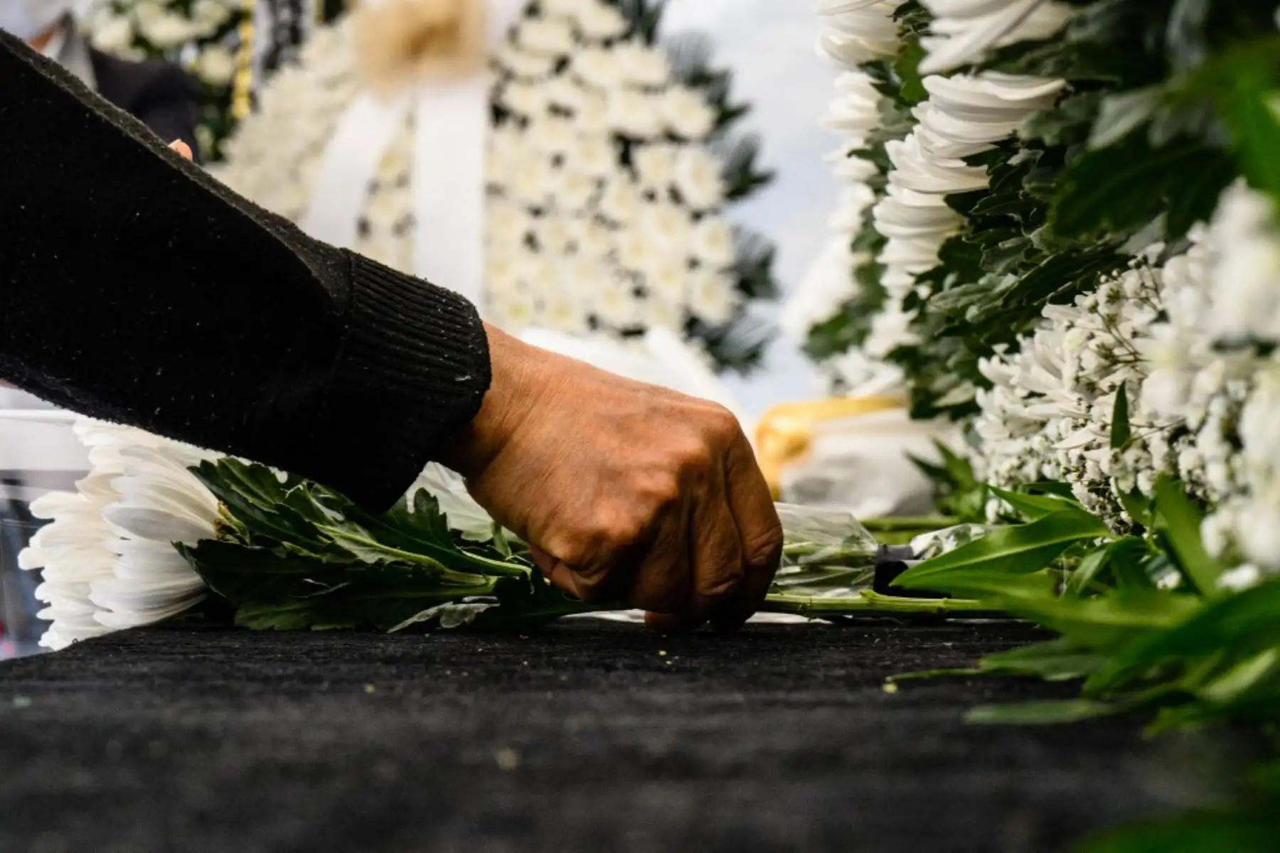 Un hombre ofrece una flor en un altar conmemorativo conjunto para las víctimas de la multitud mortal de Halloween, en Naksopyeong, cerca del distrito de Itaewon en Seúl. Foto: AFP