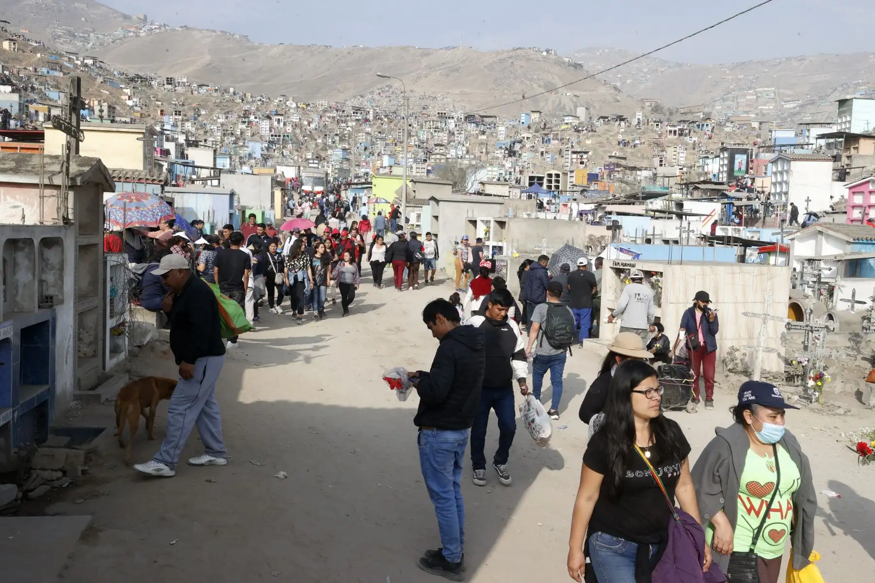 Desde tempranas horas, miles de familias, llegaron al cementerio de Nueva Esperanza en Villa María del Triunfo, para visitar a sus seres queridos durante el feriado por el Día de Todos los Santos. Foto: ANDINA/Vidal Tarqui