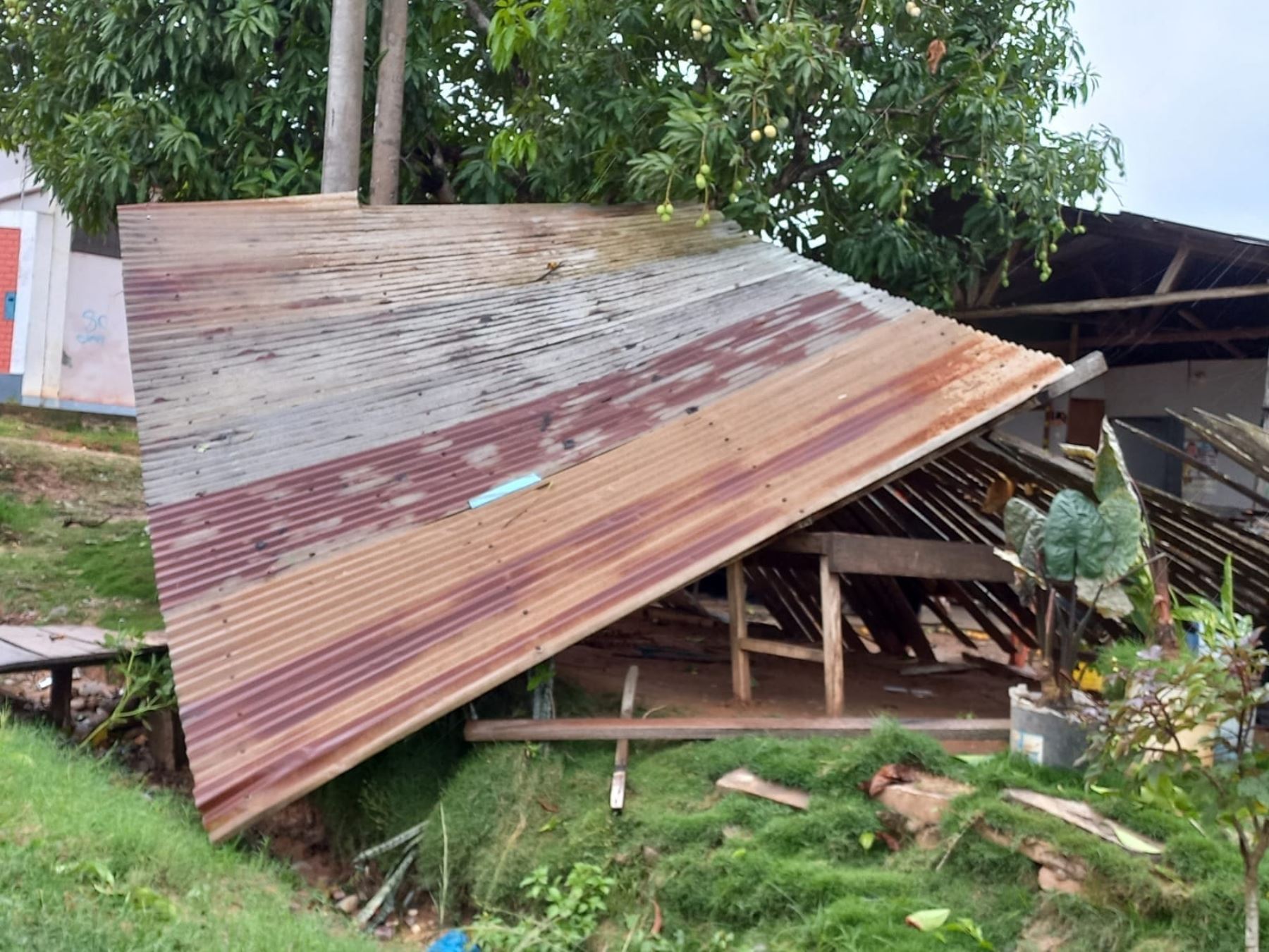 Por lo menos 80 viviendas resultaron afectadas por los vientos fuertes y la lluvia intensa que se registraron ayer en la ciudad de Pucallpa, región Ucayali.
