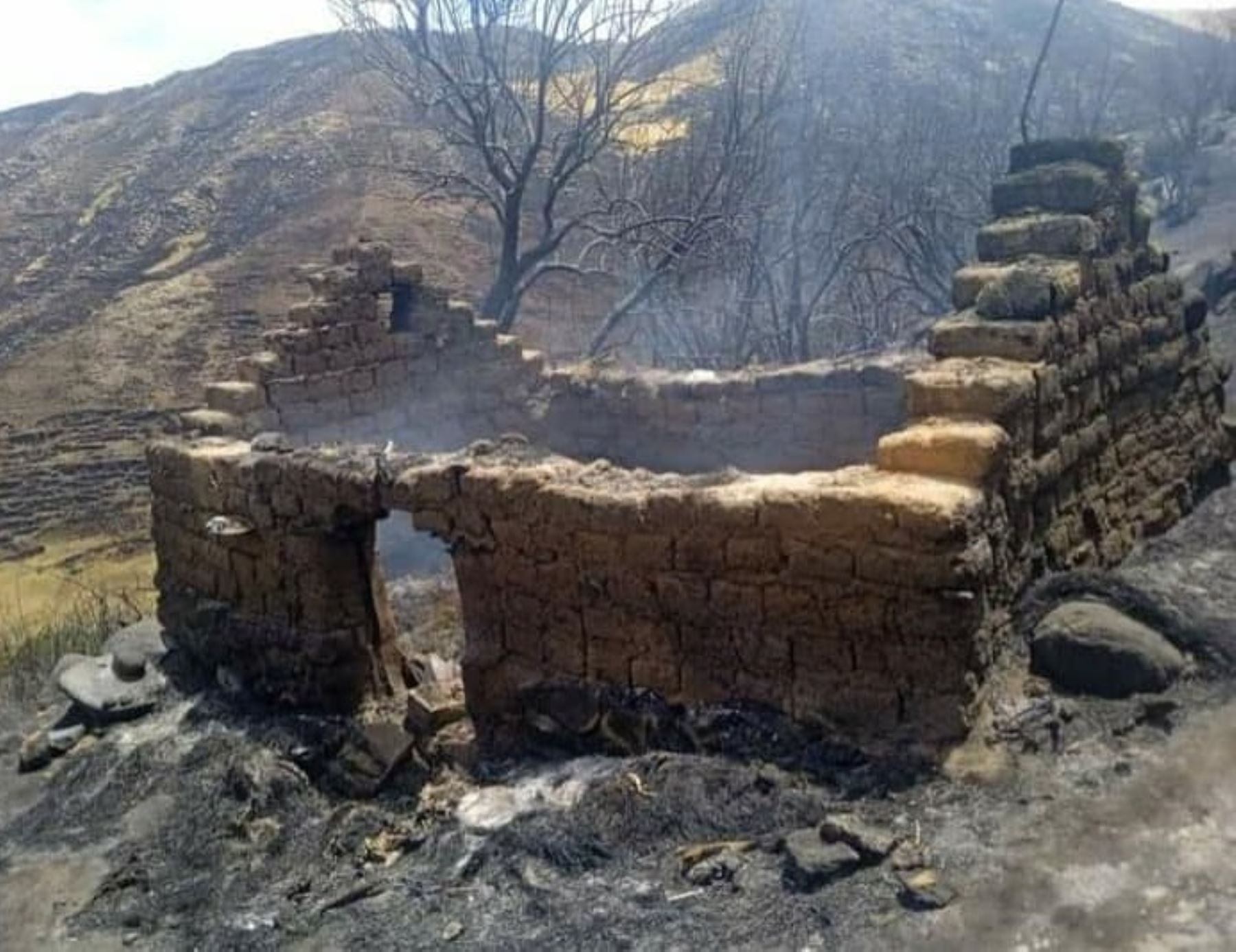 Incendio forestal en el distrito de Omacha, provincia cusqueña de Chumbivilcas, deja un muerto y varias hectáreas de terreno arrasadas por el fuego.