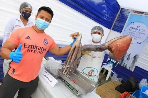 Ministerio de la Producción (Produce), a través del Programa Nacional A Comer Pescado, ofertará más de 9 toneladas de productos hidrobiológicos a precio de costo en cuatro distritos de la capital.