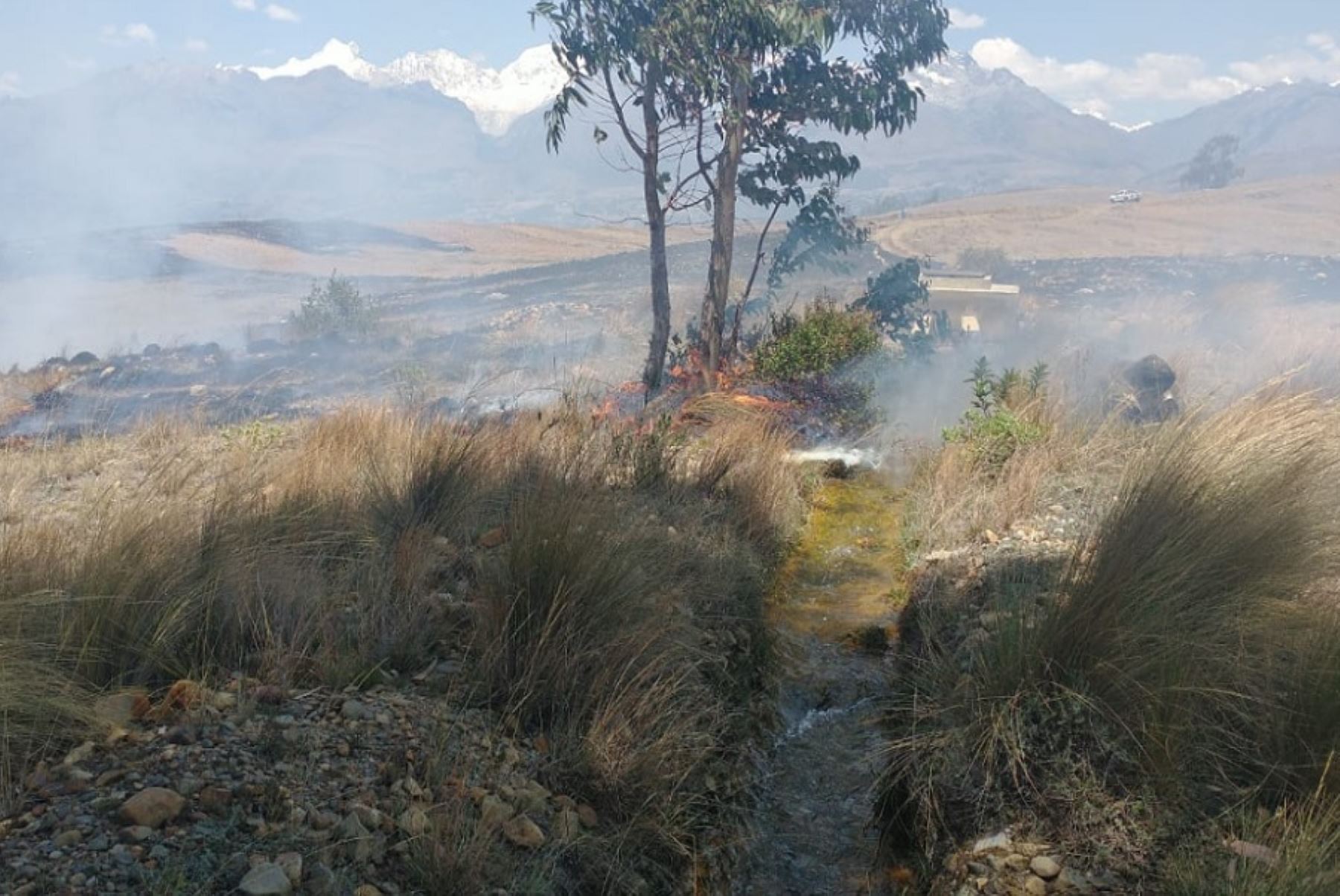 Un incendio forestal consumió cinco hectáreas de cobertura vegetal en el sector de Pukaventana, ubicado al sureste de la ciudad de Huaraz, en la región Áncash.