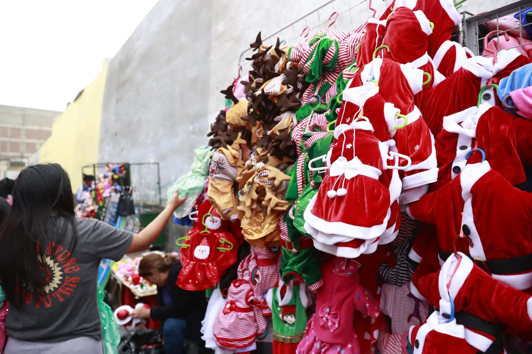 Las mascotas podrán lucir lindas ropitas navideñas. Foto: ANDINA/Melina Mejía