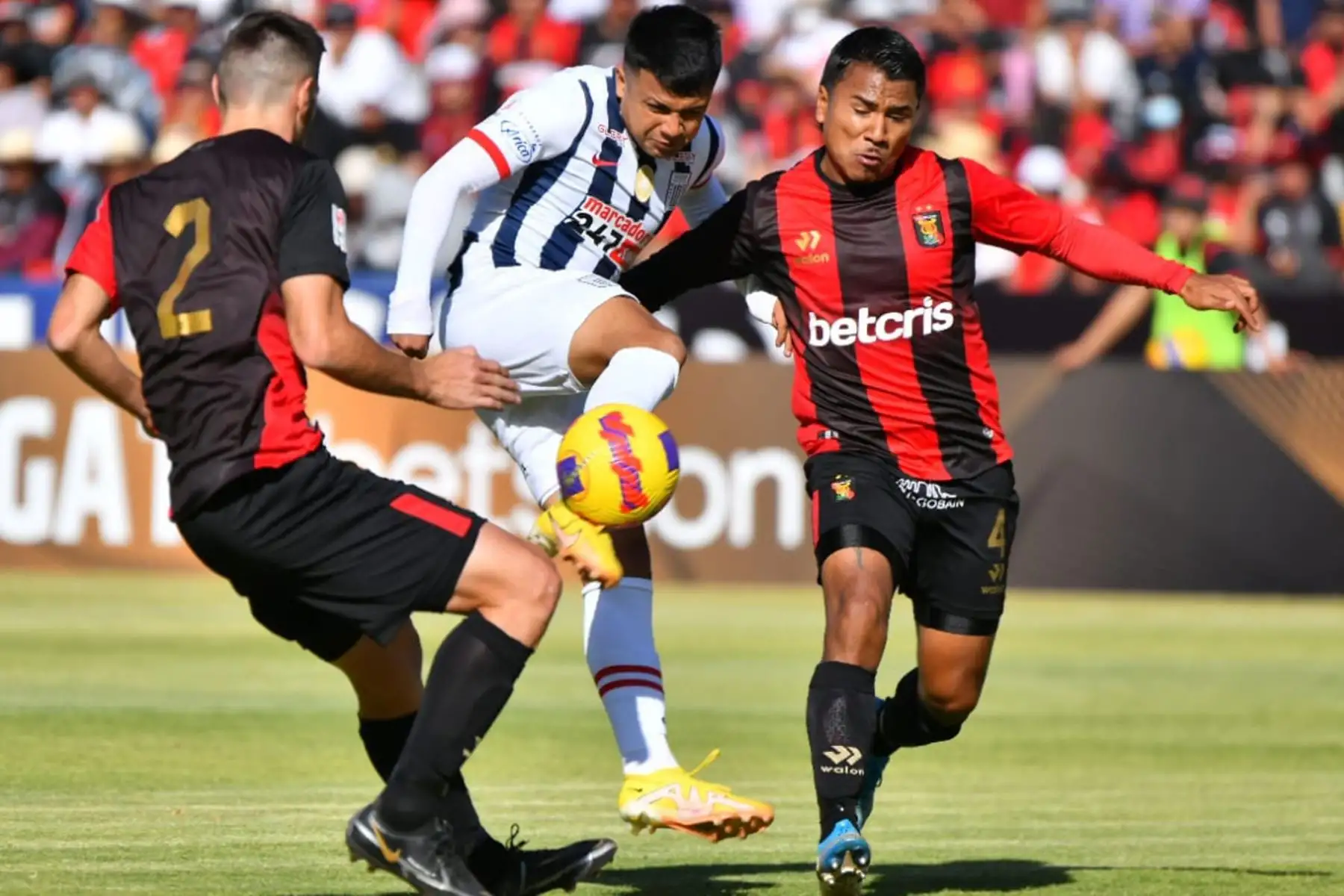 Melgar y Alianza Lima se enfrentan en la primera final de la Liga 1 en el estadio Monumental de la UNSA en Arequipa.

Foto:Cortesía Diego Ramos