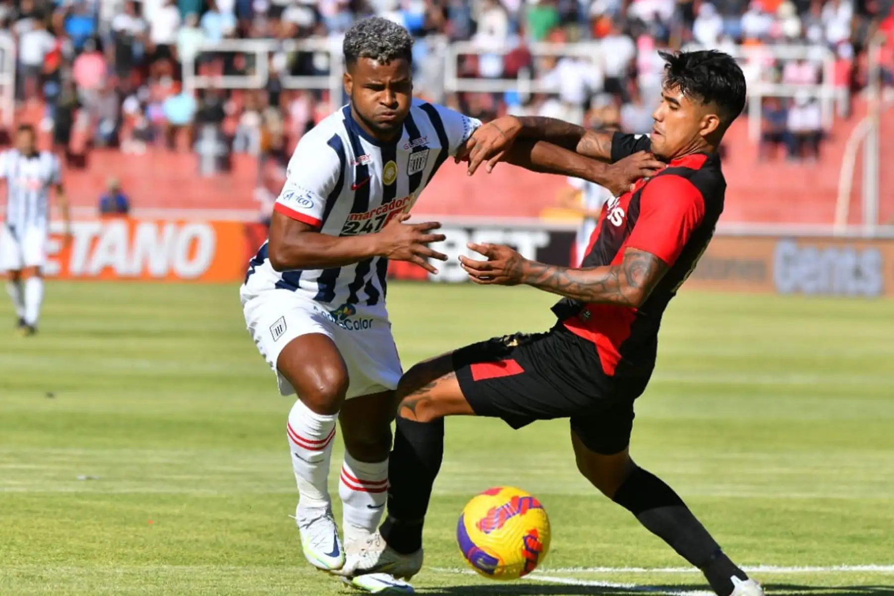 Melgar y Alianza Lima se enfrentan en la primera final de la Liga 1 en el estadio Monumental de la UNSA en Arequipa.

Foto:Cortesía Diego Ramos