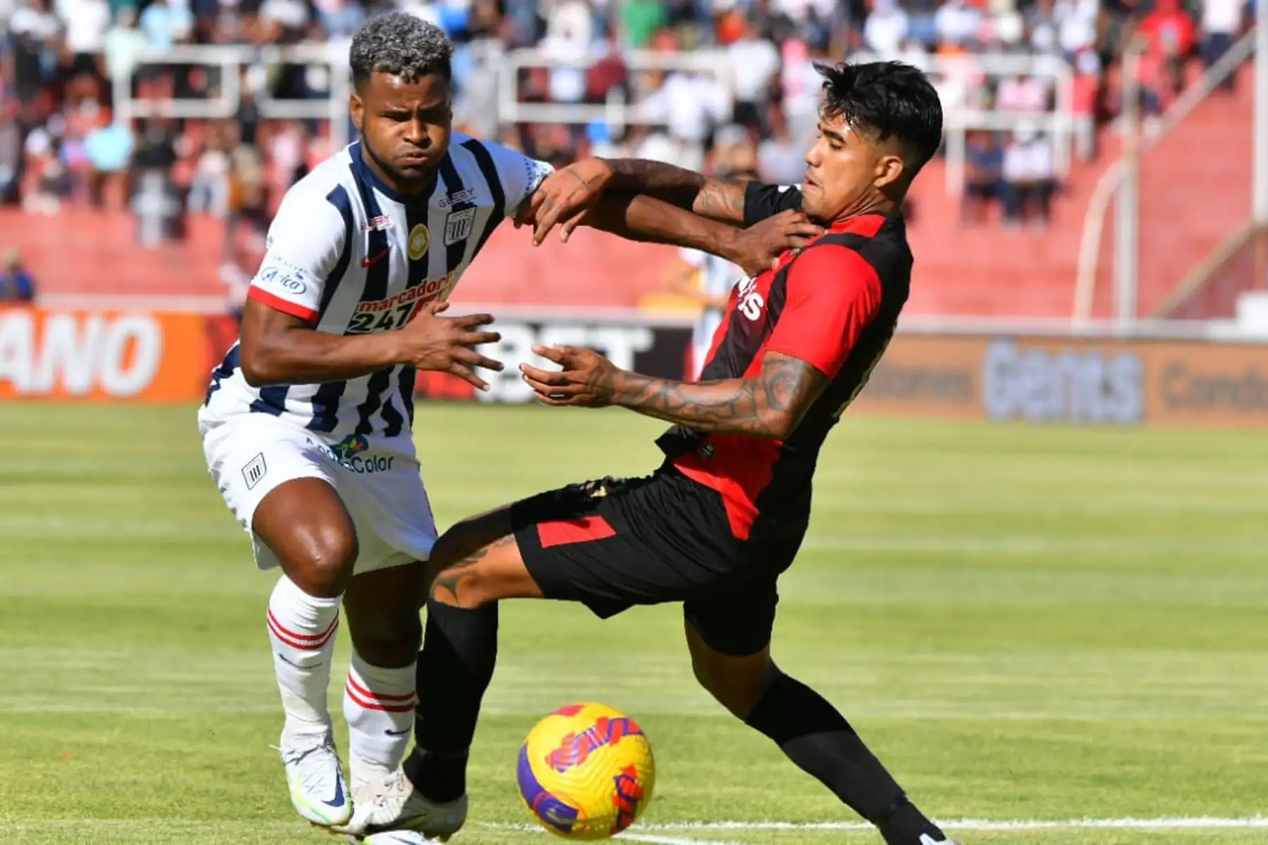 Melgar y Alianza Lima se enfrentan en la primera final de la Liga 1 en el estadio Monumental de la UNSA en Arequipa.

Foto:Cortesía Diego Ramos
