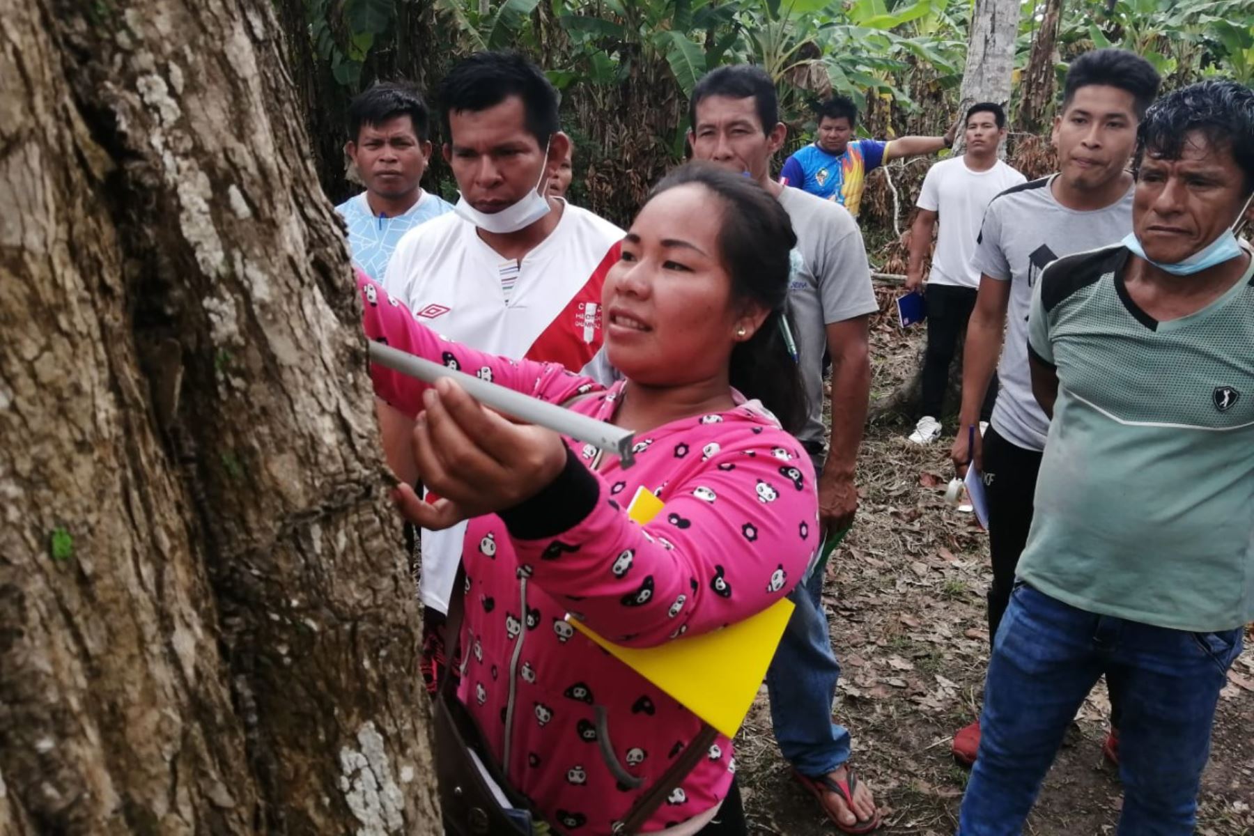 Presentaron resultados para conservar los bosques indígenas