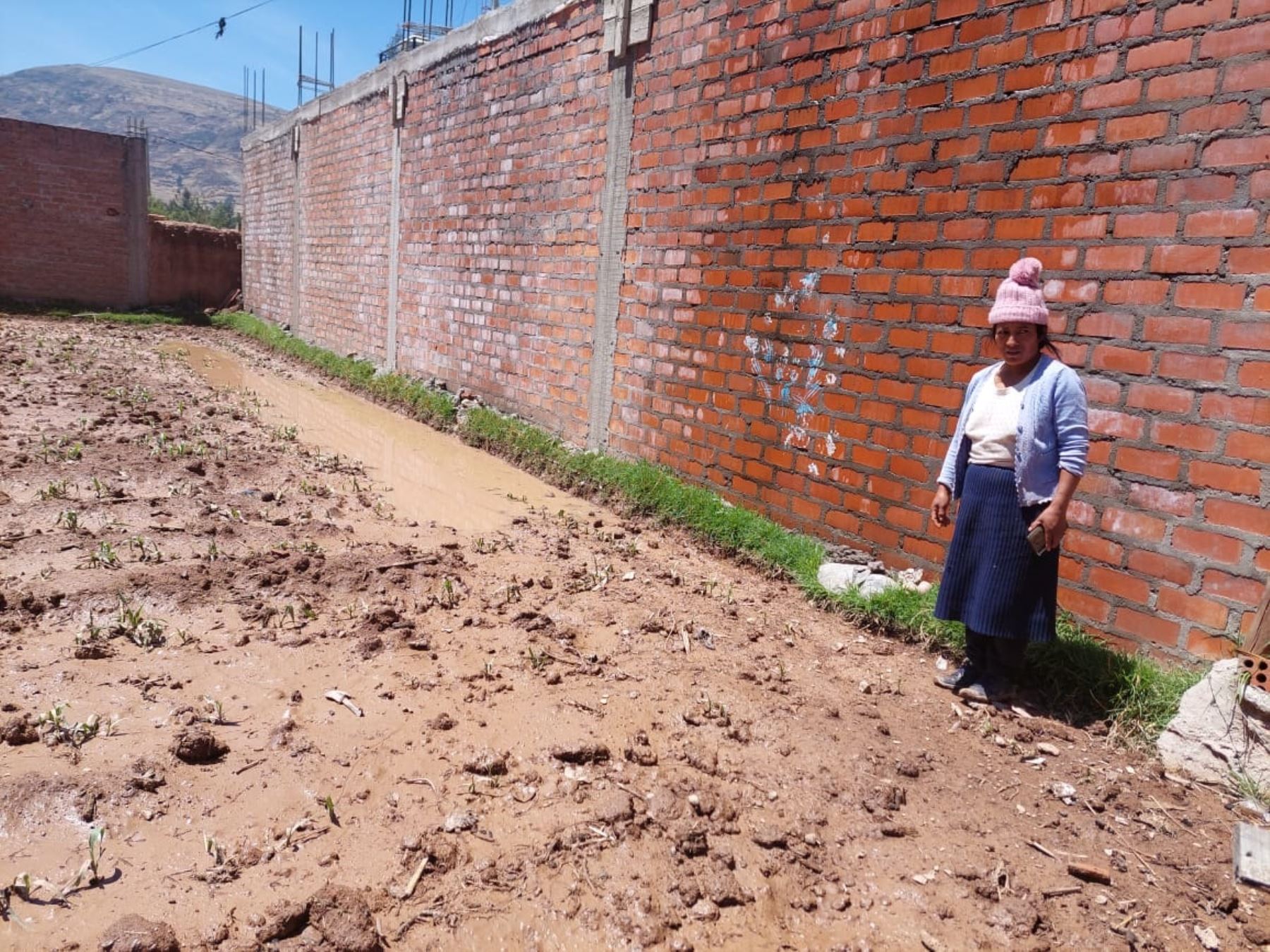 Al menos 30 viviendas y varias hectáreas de terrenos de cultivo resultaron inundadas tras una lluvia intensa que afectó al distrito de Sapallanga, provincia de Huancayo, en Junín. Foto: Pedro Tinoco