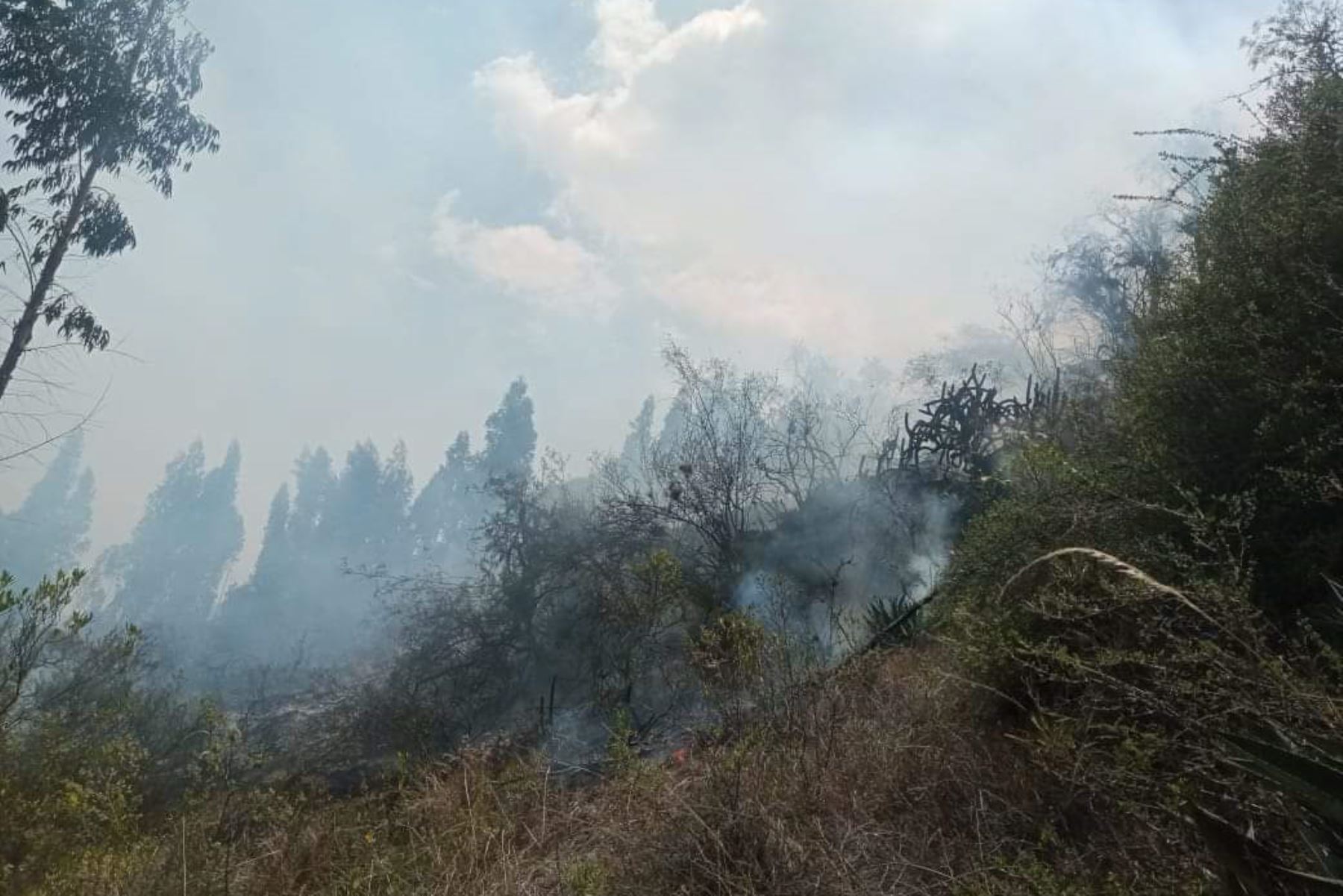 Hasta el momento no se han reportado daños a la vida ni la salud de las personas por el incendio forestal.