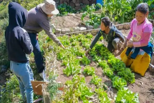 Foncodes cuenta con más de 13,000 yachachiq a escala nacional, quienes han contribuido con la atención de 334,550 hogares y han impulsado a 13,773 emprendimientos rurales inclusivos.