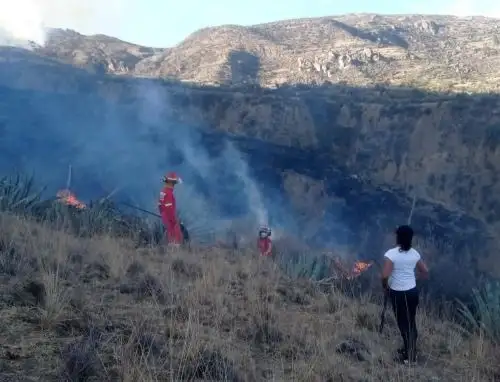 Brigadistas buscan extinguir los incendios forestales que se registran en diversos distritos de la región Apurímac. ANDINA/Difusión
