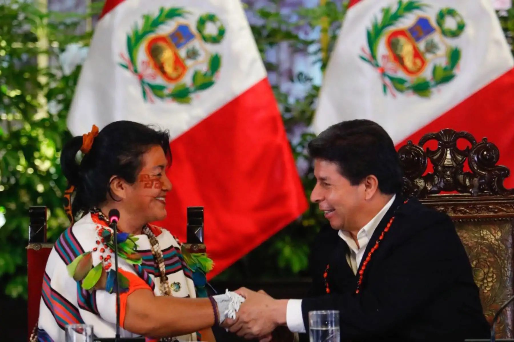 Presidente Pedro Castillo se reúne con dirigentes asháninkas en Palacio de Gobierno. Foto: ANDINA/ Prensa Presidencia