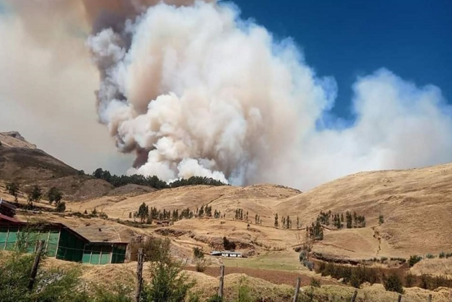 Una persona y varios animales mueren por incendios forestales en Cusco
