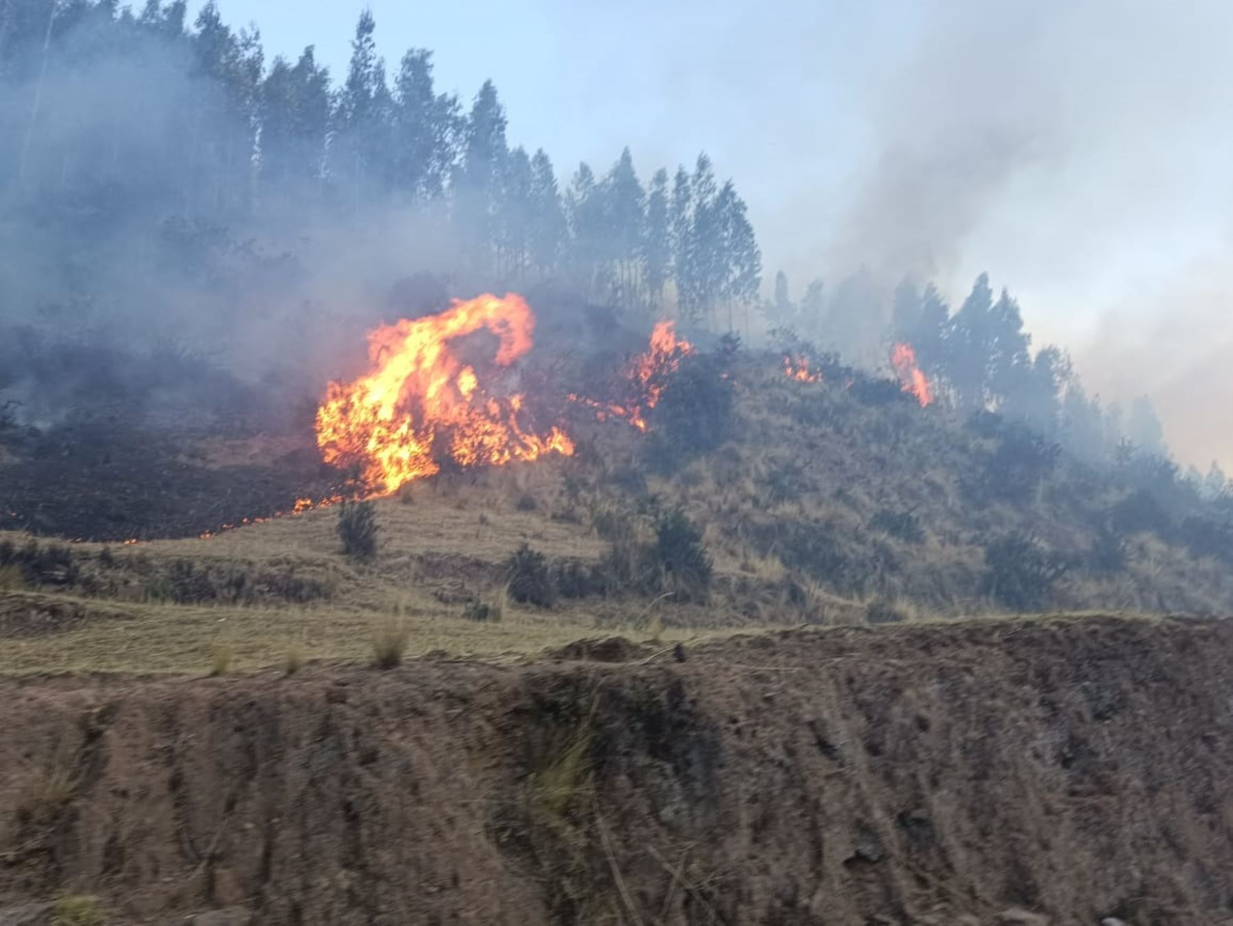 Sexagenario murió a causa de  unincendio forestal que afectó a la comunidad de Combapata, ubicada en la provincia cusqueña de Canchis.