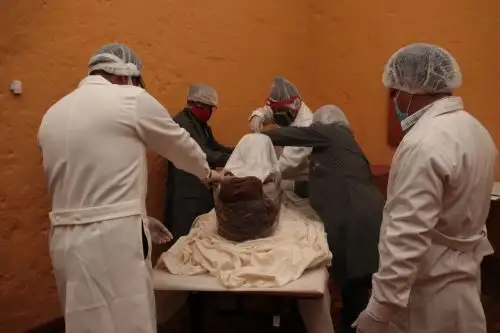 Los Incas utilizaron ayahuasca en las niñas que luego fueron sacrificadas en el nevado Ampato, revela un estudio científico desarrollado por investigadores de las universidades Católica Santa María de Arequipa y de Varsovia. ANDINA/Difusión