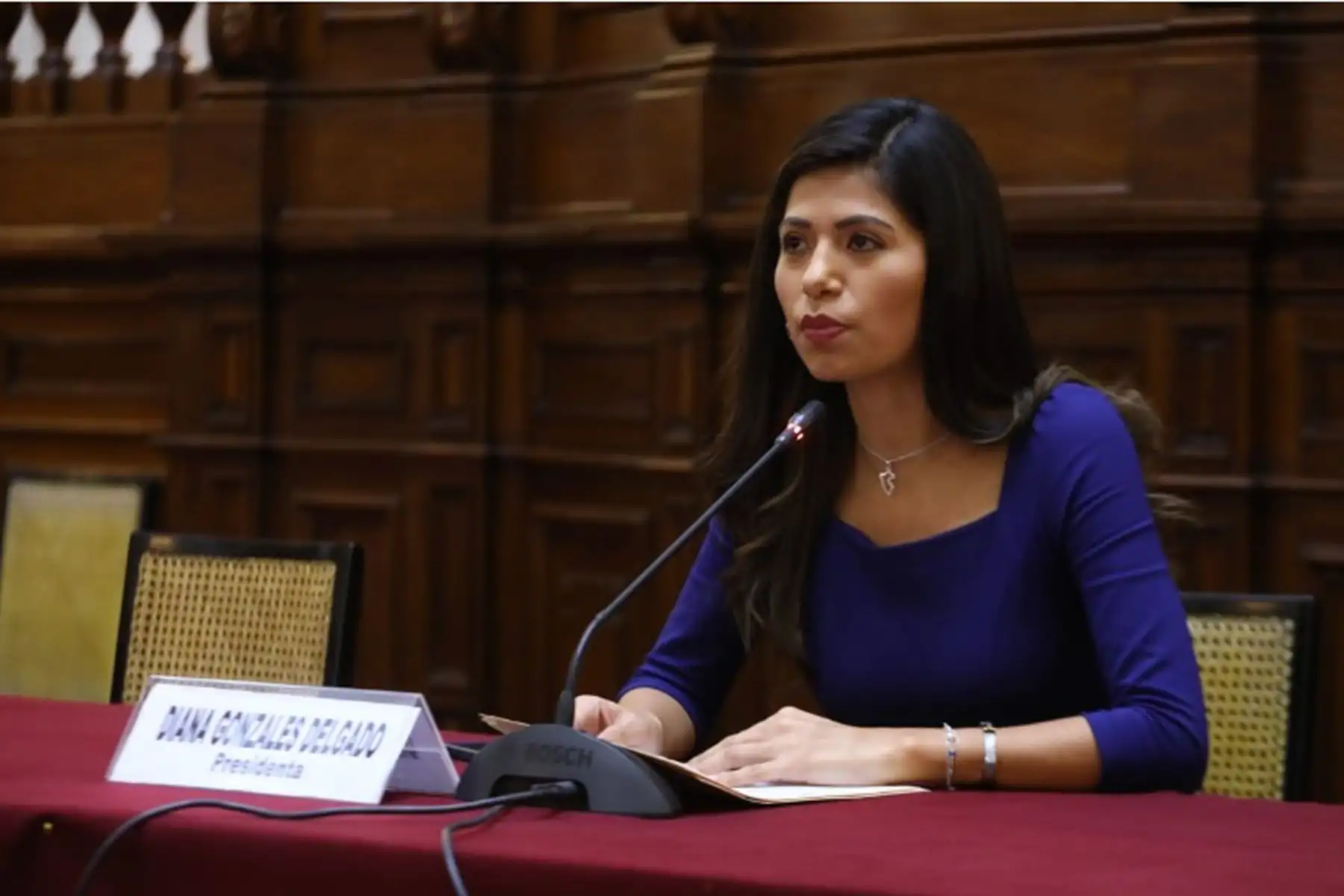 ANDINA/Difusión