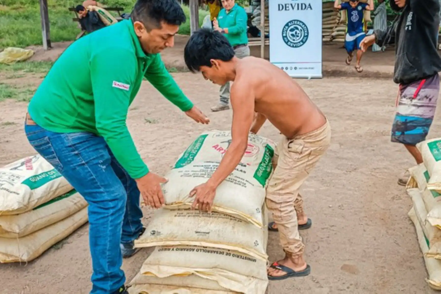 Agricultores tienen cultivos de café en etapas de crecimiento y producción, por lo que estos insumos garantizarán una mayor productividad en la próxima campaña. Foto: Devida