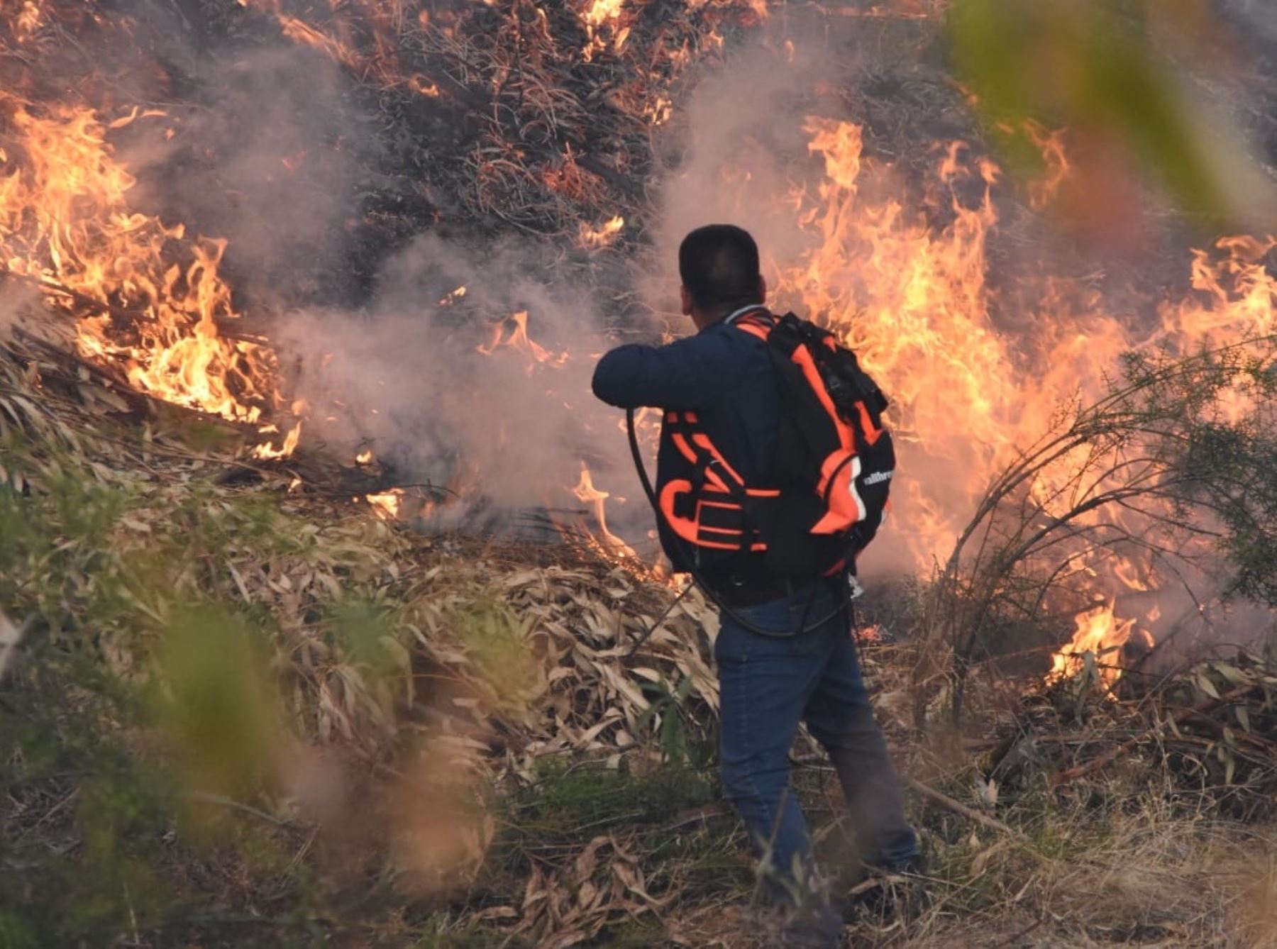 Más de 7,100 incendios forestales se han registrado en el país en lo que va del año, reveló el Ministerio del Ambiente. ANDINA/Difusión