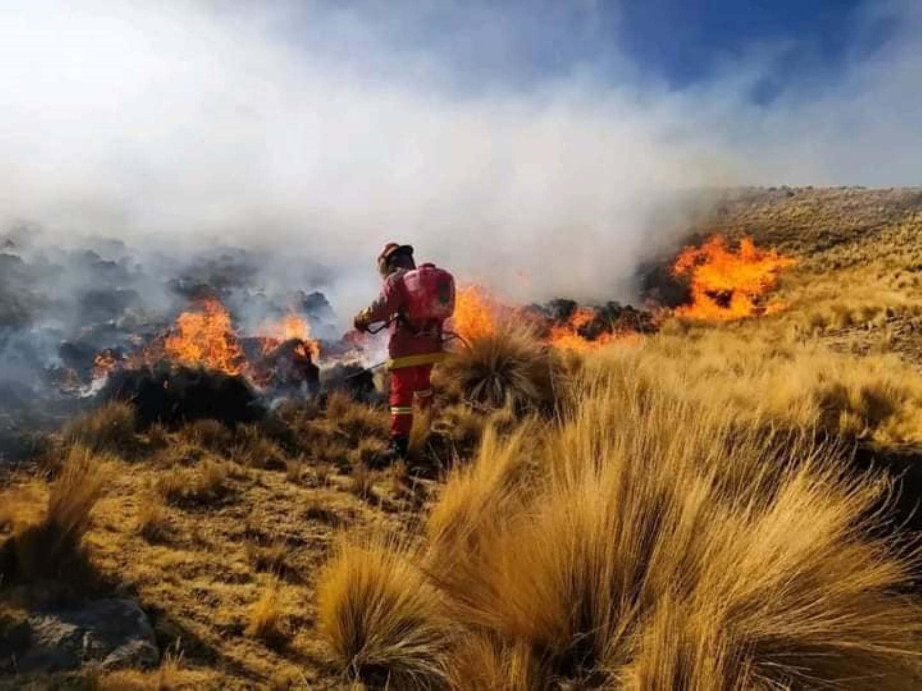 El 80 % de los incendios forestales en el Perú se concentra en la zona andina y estos siniestros son la mayor amenaza del ecosistema de alta montaña. ANDINA/Difusión