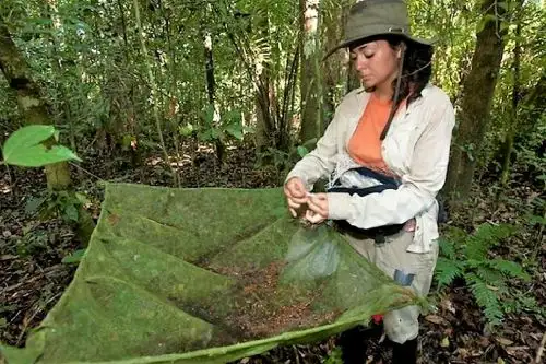 Investigadores tienen la oportunidad de postular al IV concurso de becas en áreas naturales protegidas hasta el próximo miércoles 23 de noviembre. Foto: ANDINA/Difusión