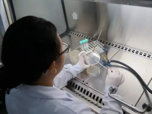 Científicos peruanos identifican microorganismos con propiedades anticancerígenas halladas en salineras del norte ubicadas en Lambayeque y Piura. ANDINA/Difusión