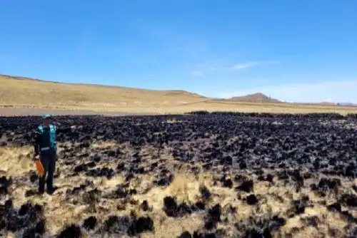 Originar incendios forestales se sanciona con multas que van desde 10 a 5000 UIT e incluso con penas privativas de libertad.
