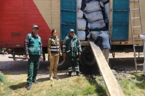 El comercio, transporte, transformación y tenencia de productos o subproductos forestales, sin contar con los documentos que amparen su procedencia legal, se sancionan con multas que fluctúan entre 10 y 5000 UIT, de acuerdo con los criterios de gradualidad.