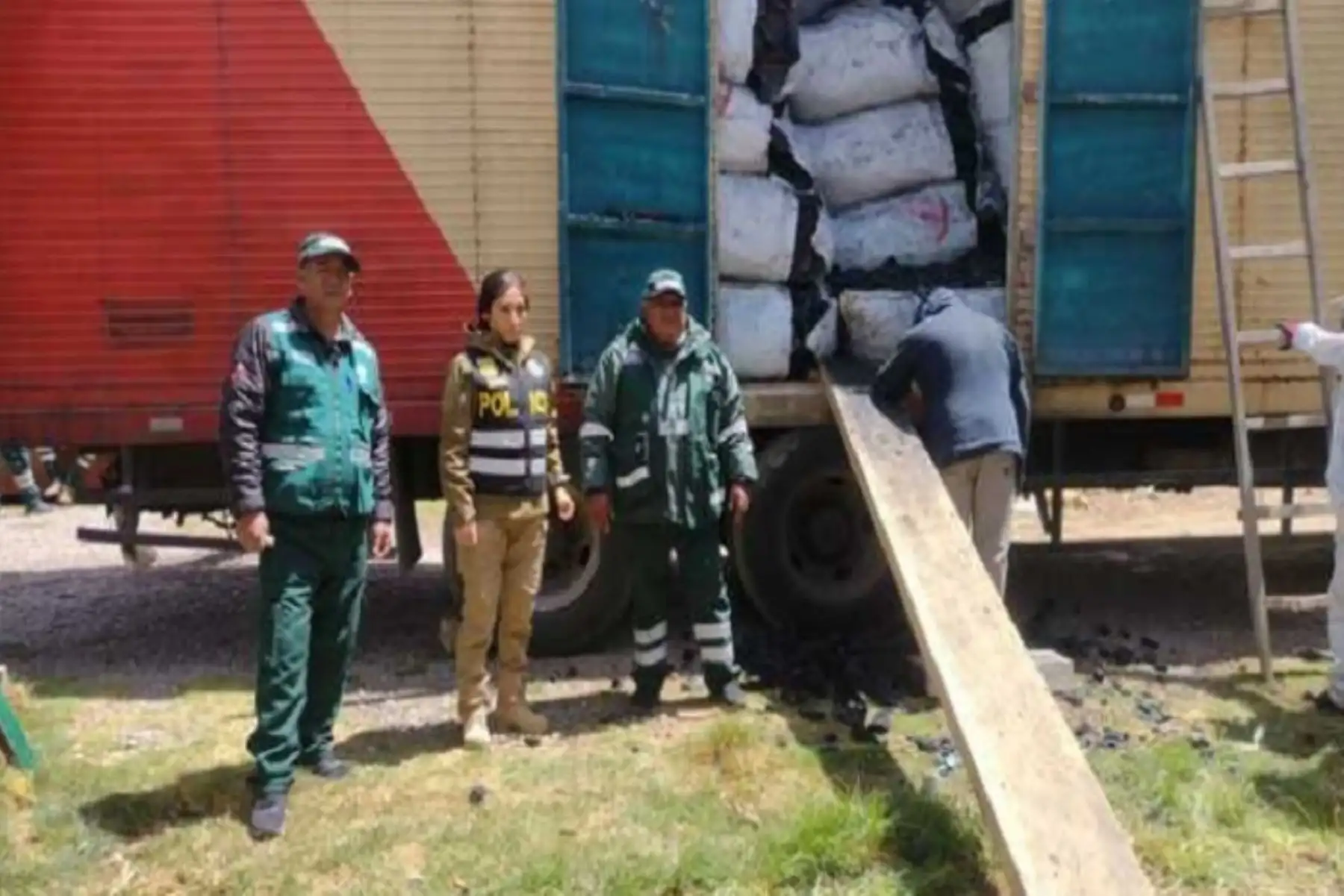 El comercio, transporte, transformación y tenencia de productos o subproductos forestales, sin contar con los documentos que amparen su procedencia legal, se sancionan con multas que fluctúan entre 10 y 5000 UIT, de acuerdo con los criterios de gradualidad.