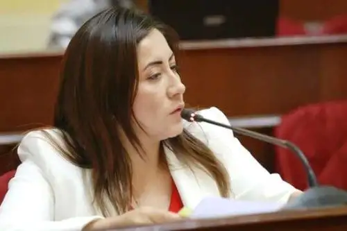 La ministra de Salud, Kelly Portalatino, se presentó ante la Comisión de Presupuesto y Cuenta General de la República del Congreso de la República, donde sustentó el presupuesto de salud para el 2023. Foto: ANDINA/Difusión.