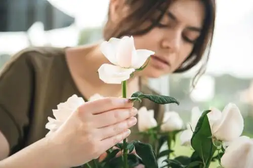 La floricultura es una actividad que genera un importante número de puestos de trabajo en la sierra del país. Cortesía Inacal