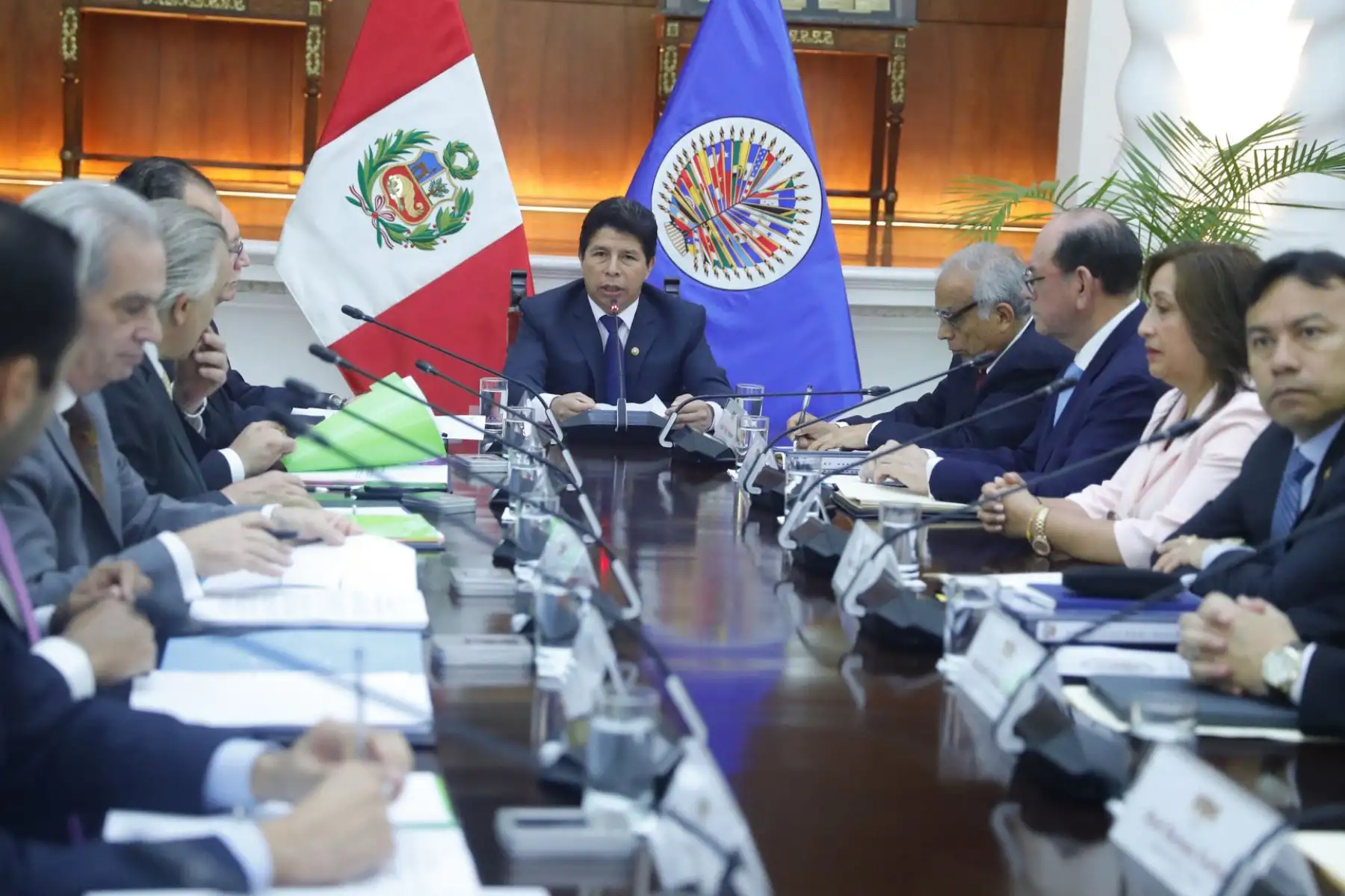 El presidente de la República, Pedro Castillo Terrones, recibe en audiencia a la misión de la Organización de los Estados Americanos (OEA), que ya se encuentra en el país. Foto: ANDINA/ Prensa Presidencia