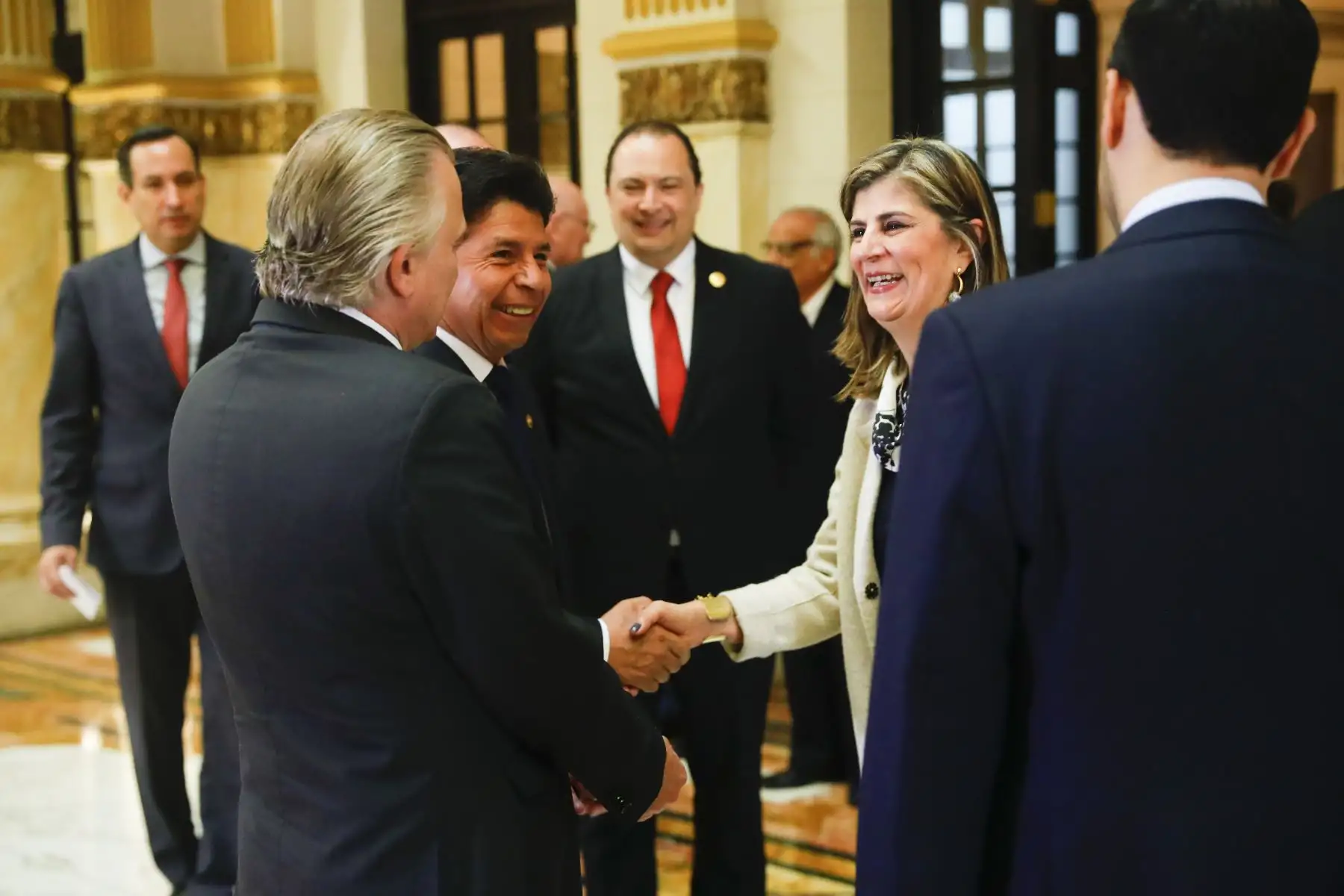 El presidente de la República, Pedro Castillo Terrones, recibe en audiencia a la misión de la Organización de los Estados Americanos (OEA), que ya se encuentra en el país. Foto: ANDINA/ Prensa Presidencia