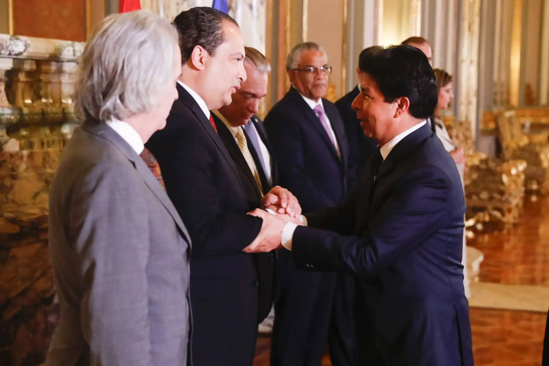 El presidente de la República, Pedro Castillo Terrones, recibe en audiencia a la misión de la Organización de los Estados Americanos (OEA), que ya se encuentra en el país. Foto: ANDINA/ Prensa Presidencia