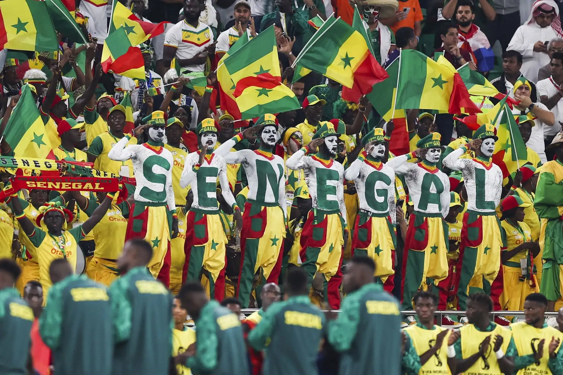 Hinchas de Senegal animan durante el partido de fútbol del grupo A de la Copa Mundial de la FIFA 2022 entre Senegal y los Países Bajos en el estadio Al Thumama en Doha, Catar. Foto: AFP