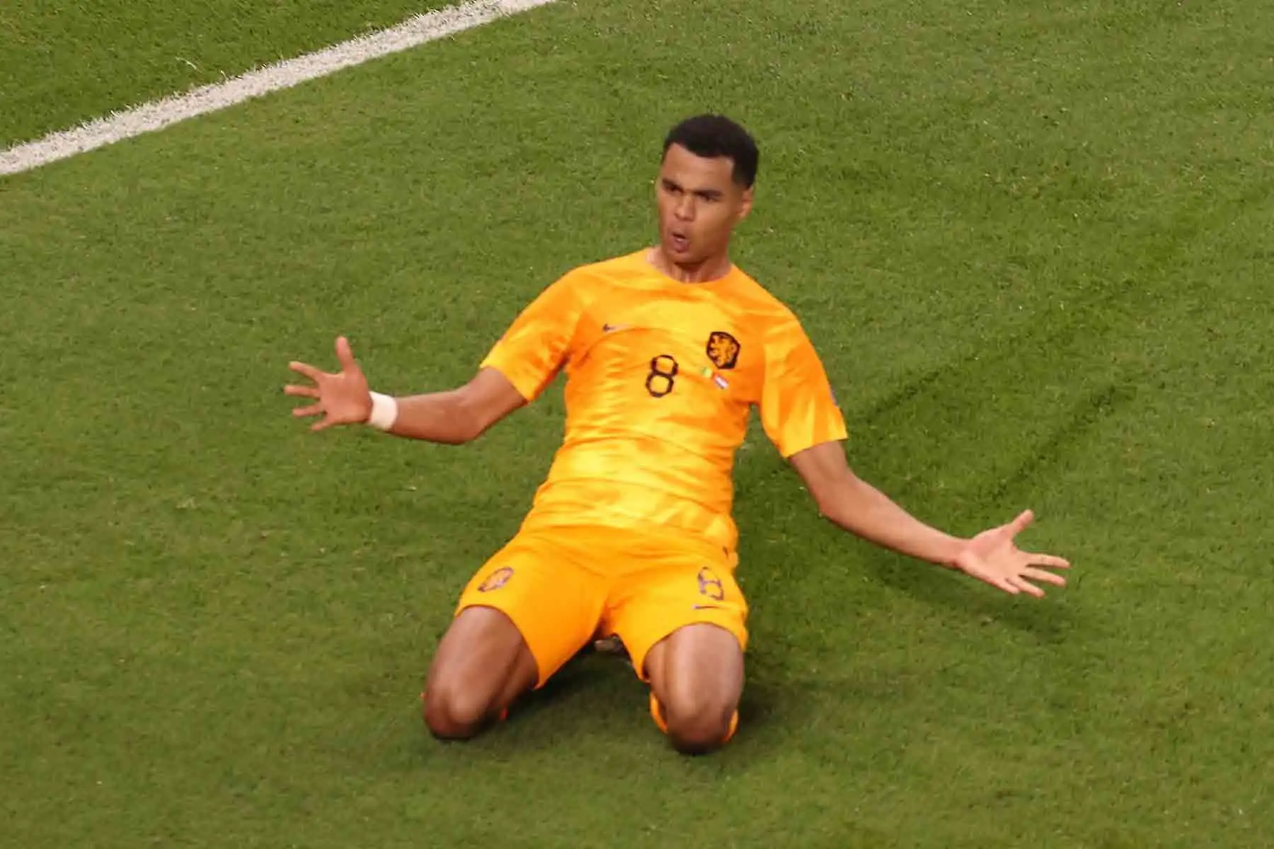 El delantero holandés Cody Gakpo celebra después de marcar el primer gol durante el partido de fútbol del Grupo A de la Copa Mundial Catar 2022 entre Senegal y Holanda en el Estadio Al-Thumama en Doha. Foto: EFE