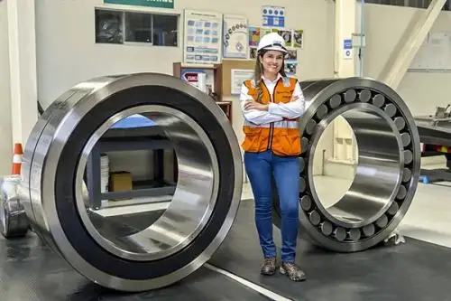 Ljubica Rodríguez Alvaradojefa de Desarrollo de productos industriales y Estrategia de economía circular de SKF. ANDINA/ SKF