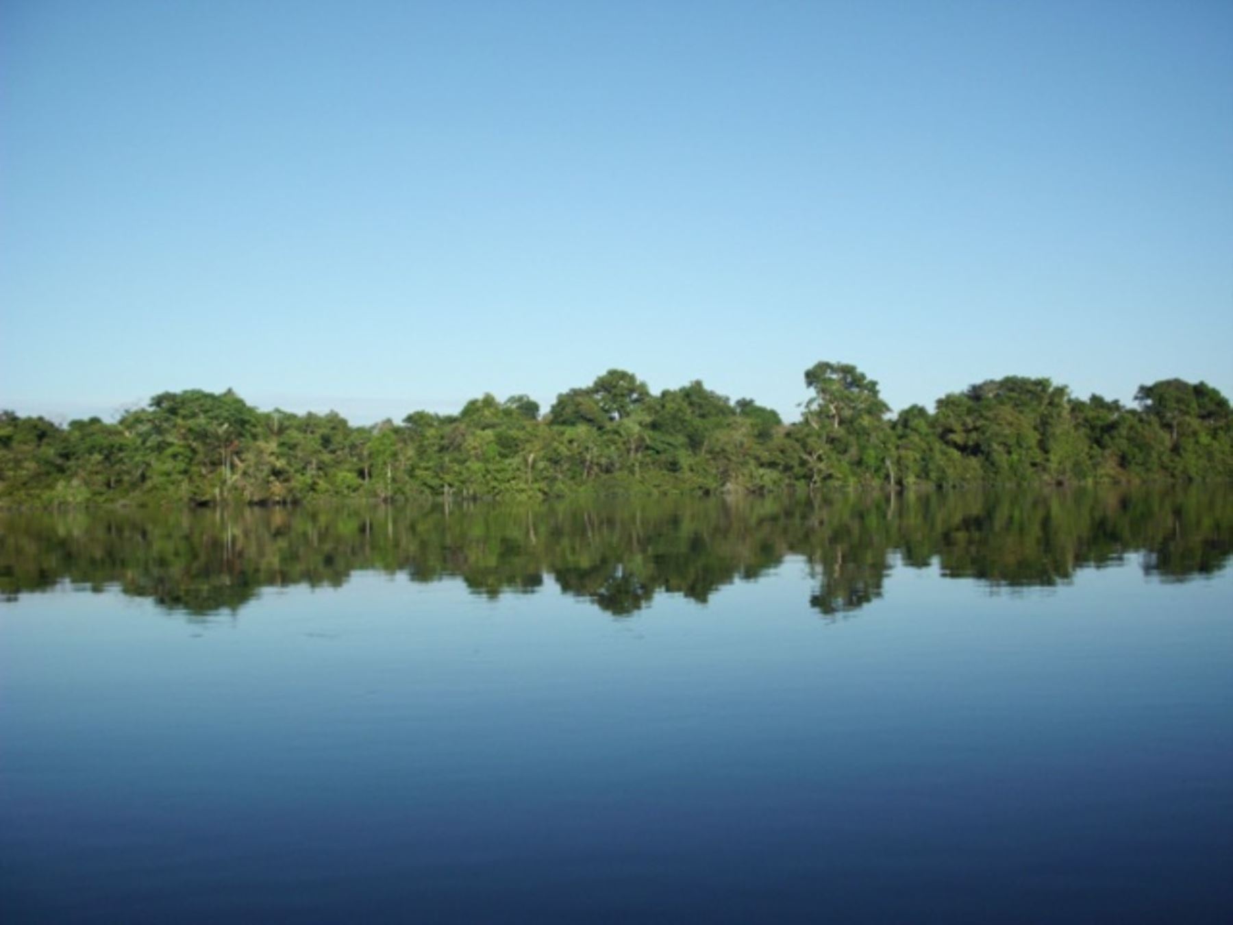 La oficina de la Sunarp en Iquitos apoya en el saneamiento físico legal de la Reserva Nacional Allpahuayo Mishana, ubicada en Loreto.
